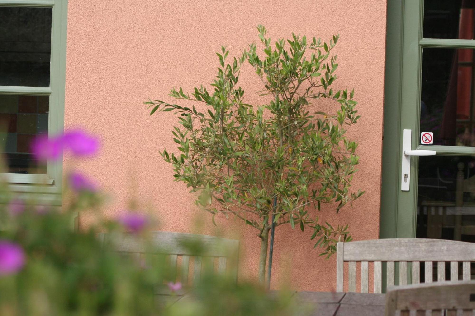 B&B La Cle Du Sud Merelbeke Екстер'єр фото